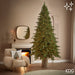 EDG Enzo de Gasperi Albero di Natale Total PE Pino Imperial New H270 cm 5300 Mini Led