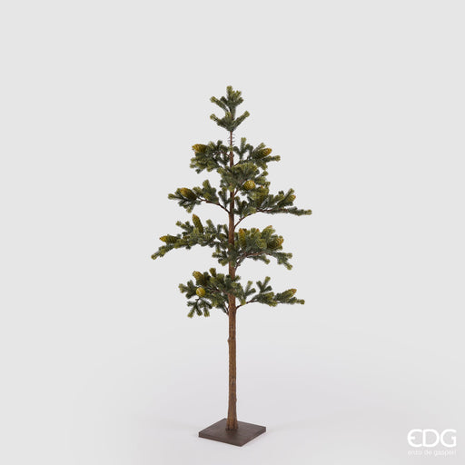 EDG Enzo De Gasperi Pino Con Pigne e Base H138 cm