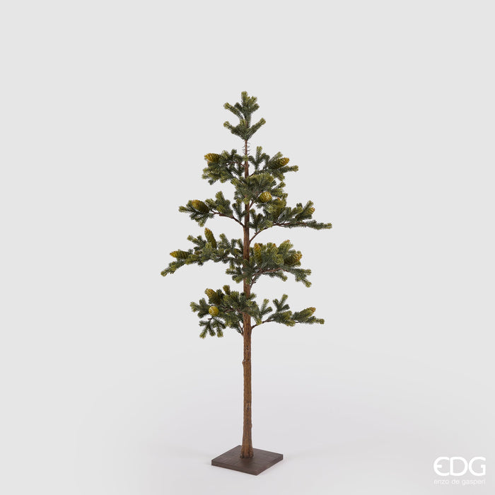 EDG Enzo De Gasperi Pino Con Pigne e Base H138 cm