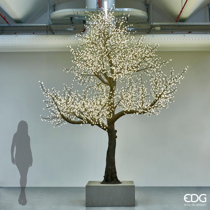 EDG Enzo De Gasperi Albero Melo Fiorito con 5200 Led H 4.50 mt