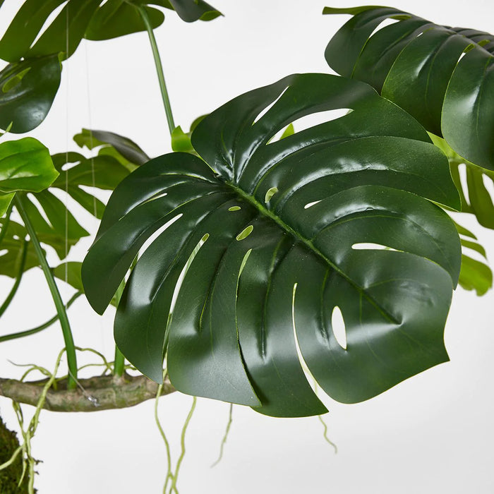 Pianta Artificiale Monstera Bell da Appendere H70 cm