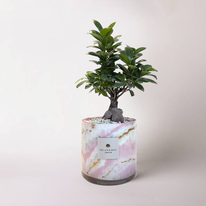Bomboniera Paola Rolando Bonsai in Cilindro Quarzo
