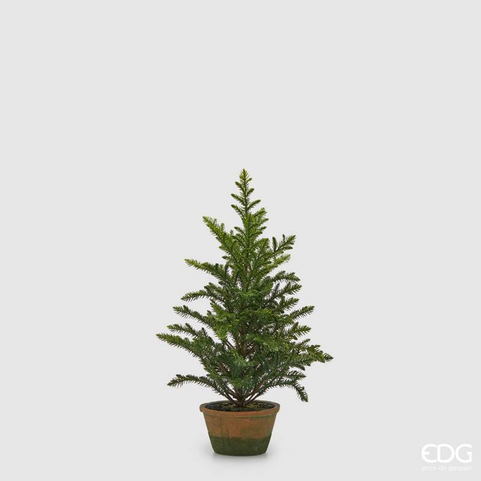 EDG Enzo De Gasperi Pino Con Vaso H54 cm