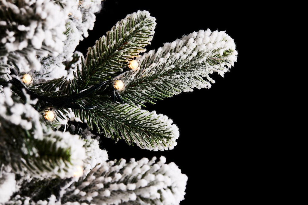 Albero di Natale Pino Merano innevato 270 cm con 1000 led - EDG