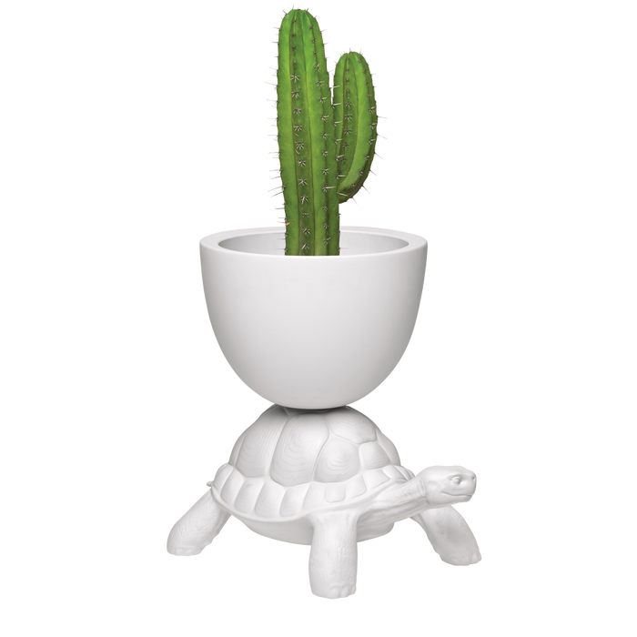 Qeeboo Vaso Porta Piante Tartaruga Bianco