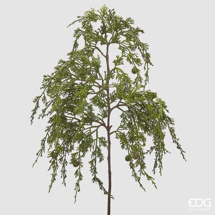 EDG Enzo De Gasperi Ramo Cadente di Pino Tuja con Bacche H80 cm
