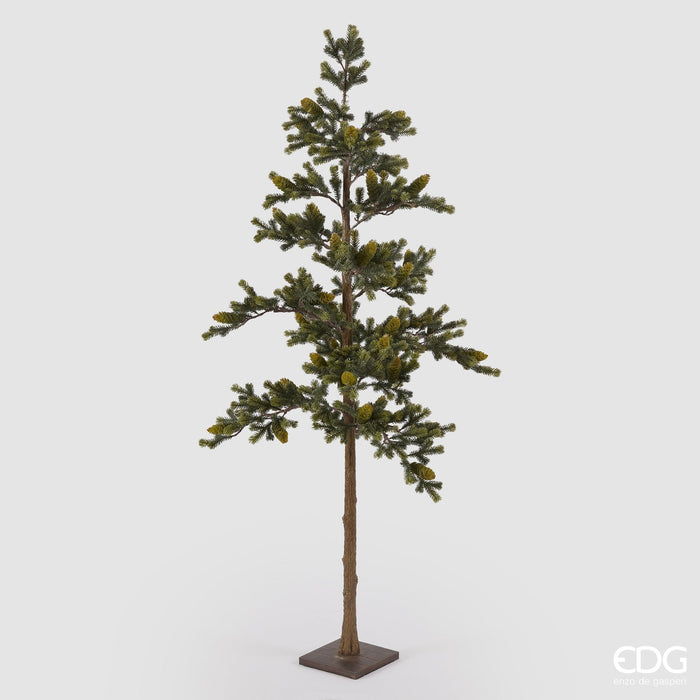 EDG Enzo De Gasperi Pino Con Pigne e Base H170 cm