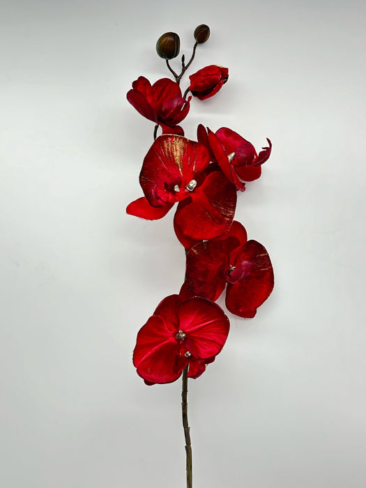 Phaleanopsis in seta e velluto color burgundy