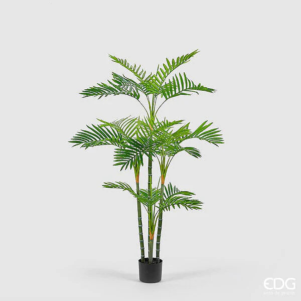 EDG Enzo De Gasperi Palma Areca C/Vaso Pvc H147 (24fg) B9 Green