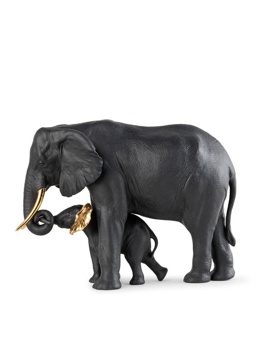 Mostrando la strada (nero e oro)