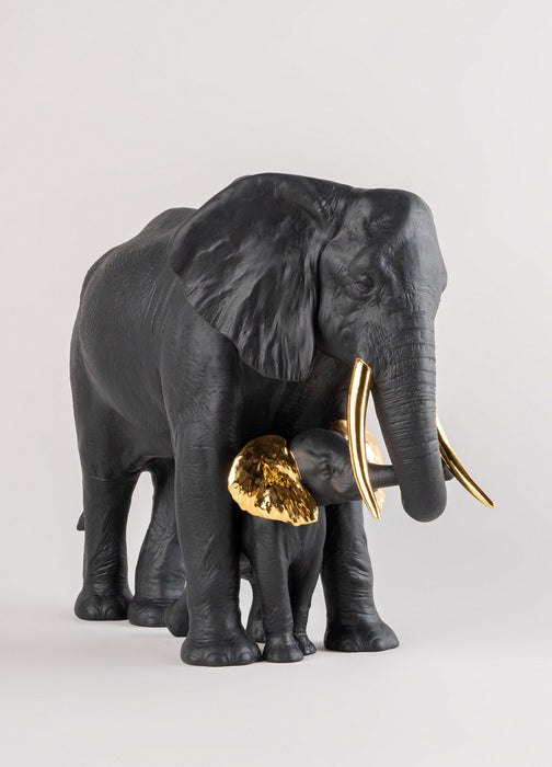 Mostrando la strada (nero e oro)