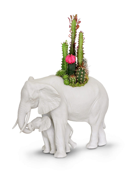 Elephant garden (bianco mate)