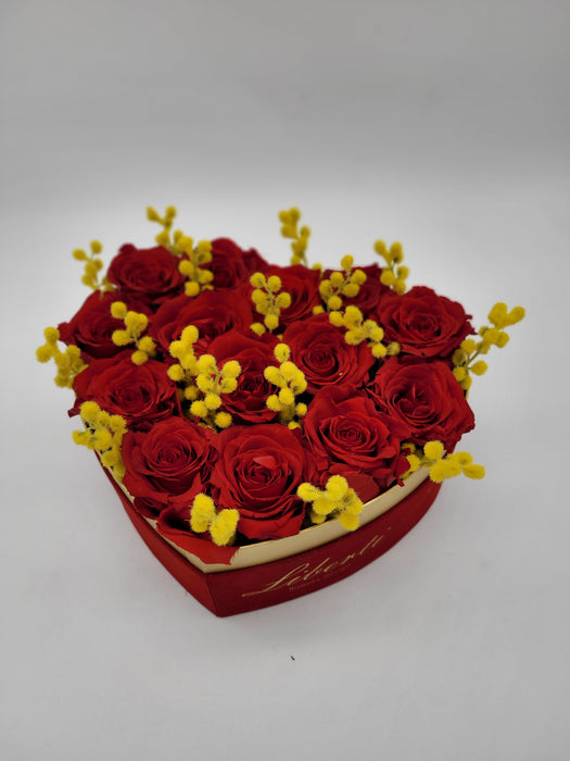 Box cuore velluto rosso con 14 rose rosse stabilizzate e mimosa