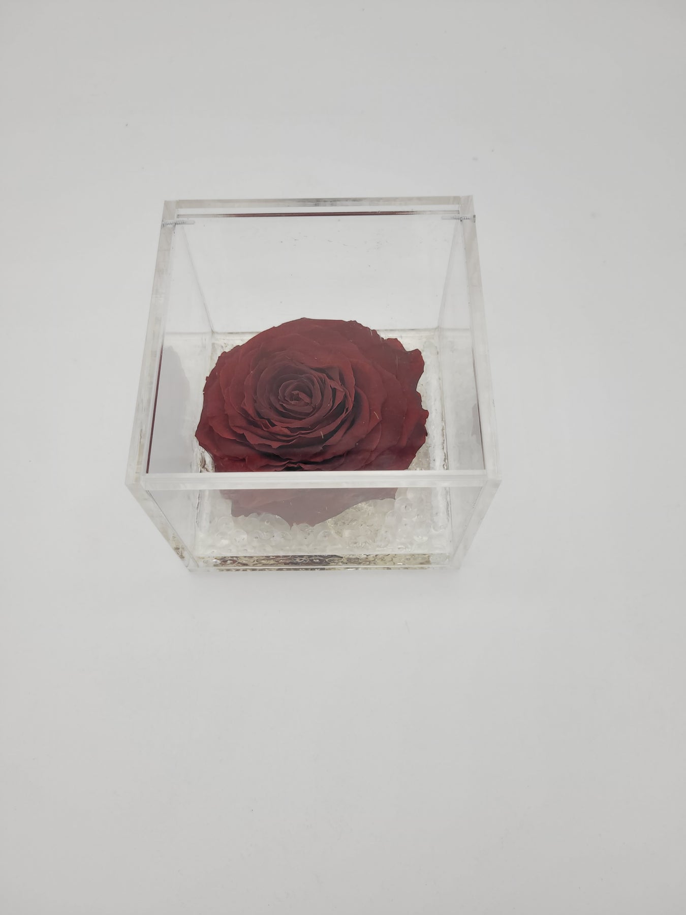 Rose stabilizzate