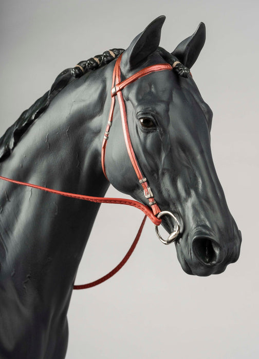 Scultura Cavallo Purosangue inglese