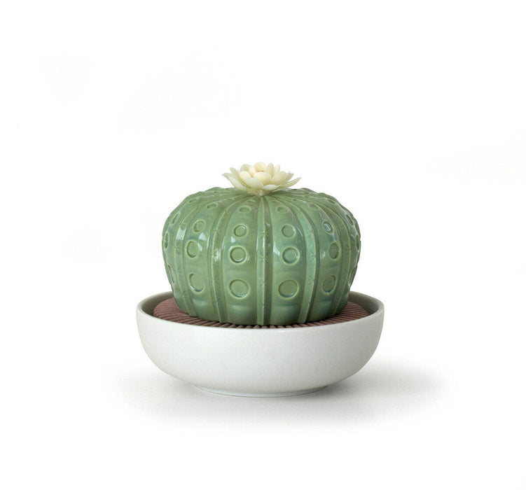 Diffusore profumo Astrophytum Cactus. Profumo Gardens of Valencia