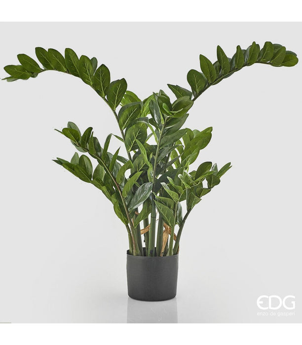 ZAMIFOLIA ARTIFICIALE CON VASO H130 CM